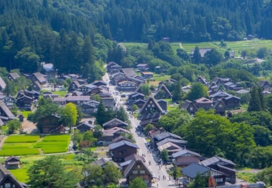 20 Helpful Things to Know When Travelling to Japan