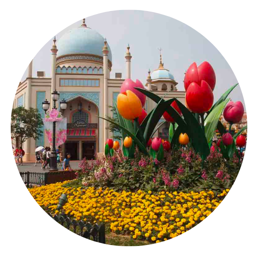 Everland in Seoul South Korea. 10 Things to Know For Your Trip to South Korea. Places to see in Seoul and activities to do in Seoul.