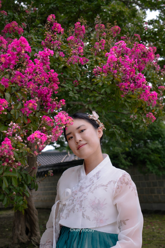 Ultimate Guide to Renting a Hanbok in Seoul South Korea - Tips for hanbok rental in Seoul. 