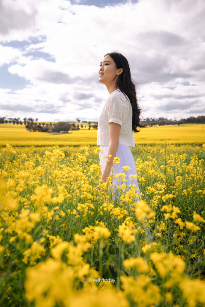 Visiting the Canola Fields in York Western Australia. Take a day trip from Perth to PetTeet Park in York.