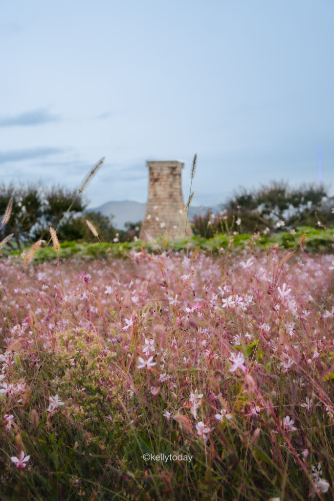 Gyeongju is one of the best day trips from Seoul in South Korea. See Cheomseongdae Observatory (경주 첨성대) in Gyeongju for your travel bucket list.