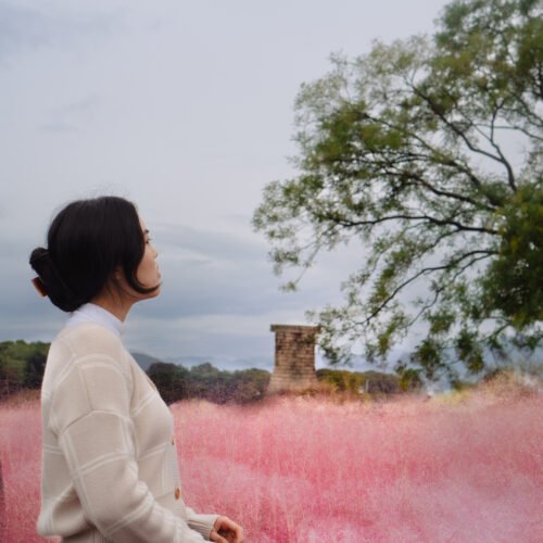 15 Best Day trips from Seoul in South Korea.