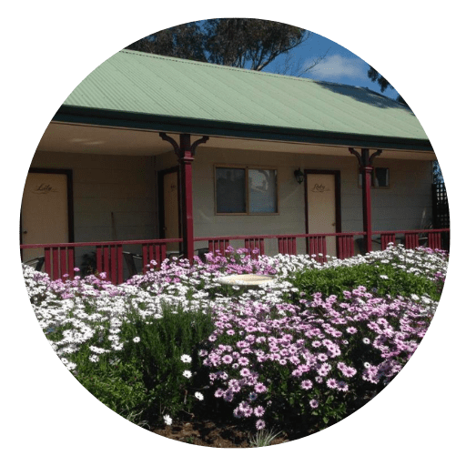 Visiting the Canola Fields in York Western Australia. Take a day trip from Perth to PetTeet Park in York.