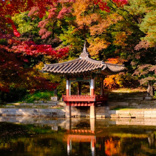 Chandeokgung Palace (창덕궁과 후원)Free Things to Do in Seoul South Korea.