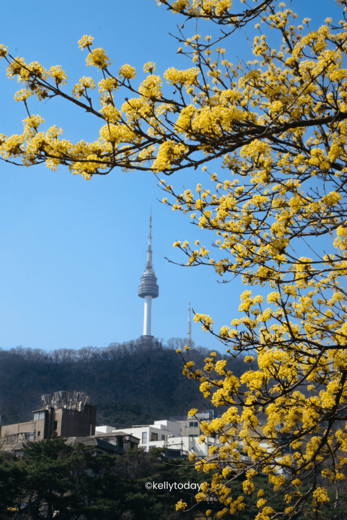 Seoul Travel Bucket List: Discover the Best Places To Visit in Seoul for your Seoul travel itinerary.