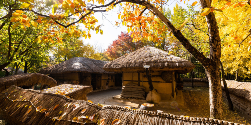 15 Best Day trips from Seoul in South Korea.