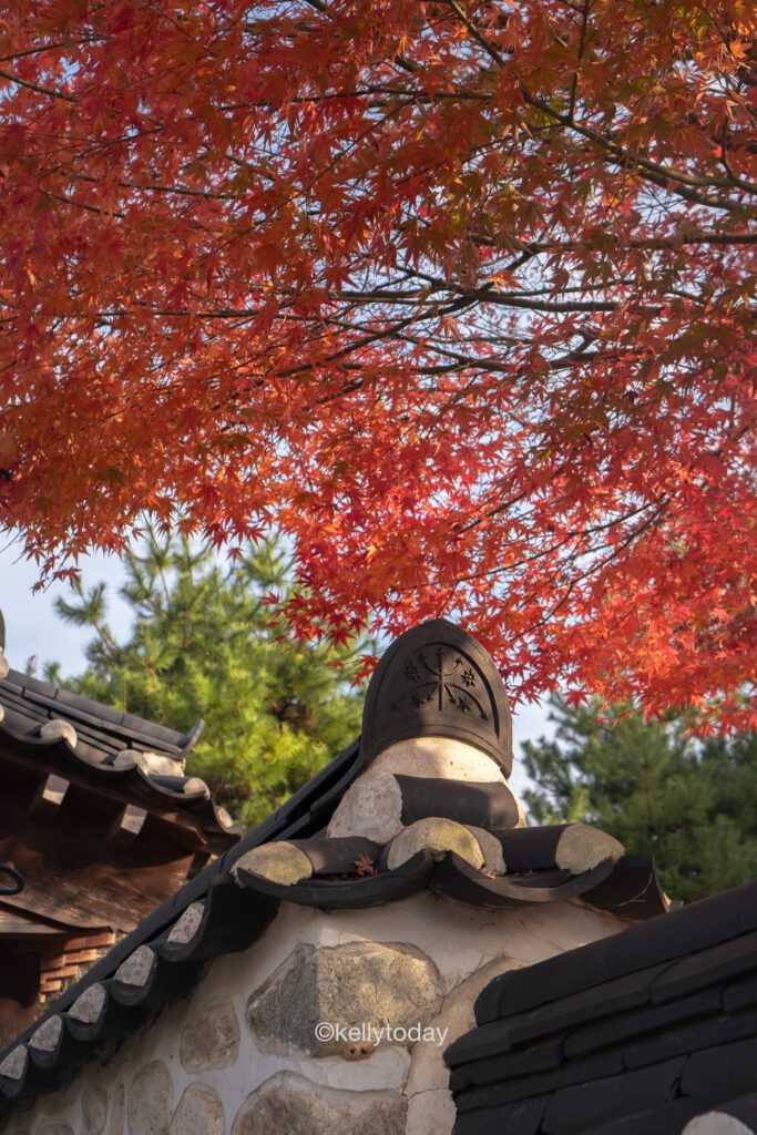 Autumn in South Korea: The Best Fall Foliage Spots in South Korea.