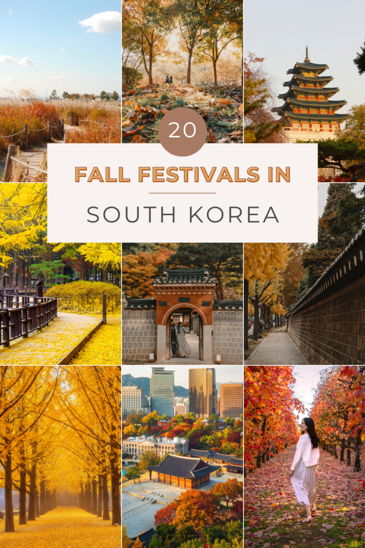 20 Best Autumn Festivals in South Korea You Can't Miss - Kelly Today