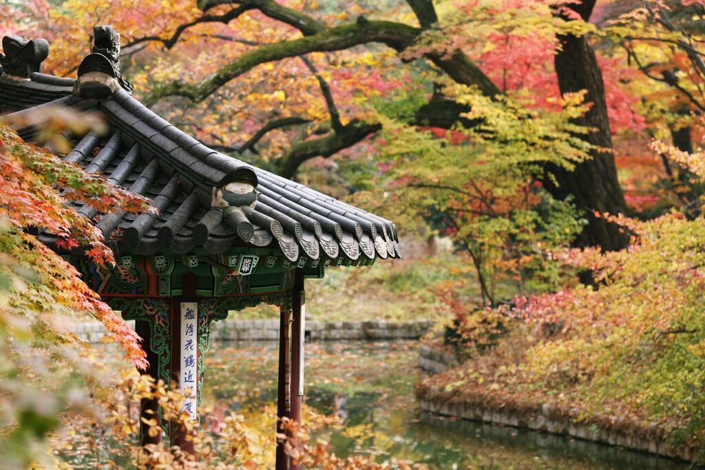 Autumn in South Korea: The Best Fall Foliage Spots in South Korea.
