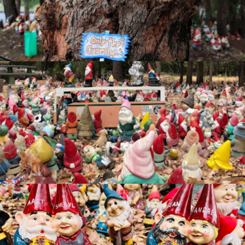 Local Guide to Gnomesville in Ferguson Valley