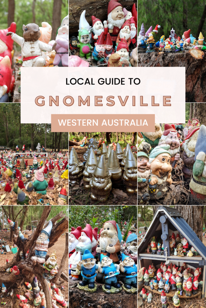Local Guide to Gnomesville in Ferguson Valley