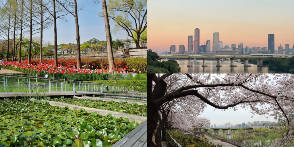20 Unusual Things to Do in Seoul South Korea