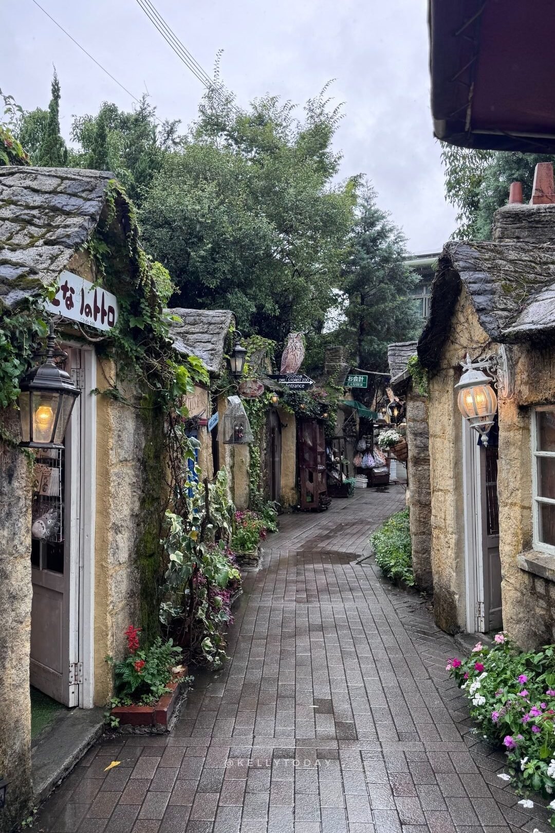 10 Best Day Trips from Fukuoka Japan