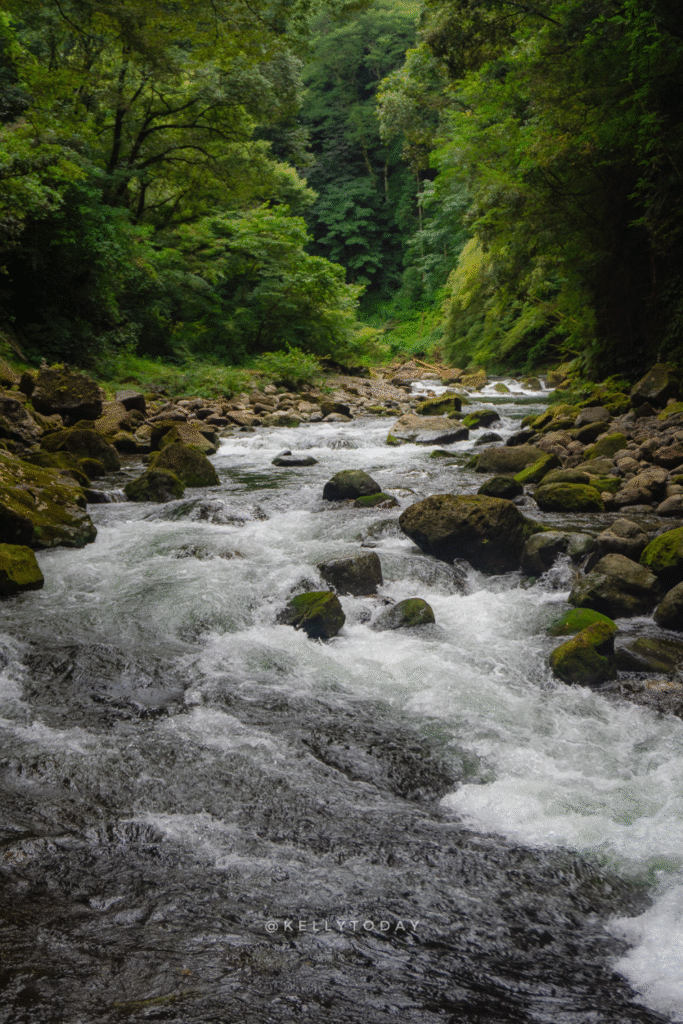 Takachiho Gorge - 10 Best Day Trips from Fukuoka Japan