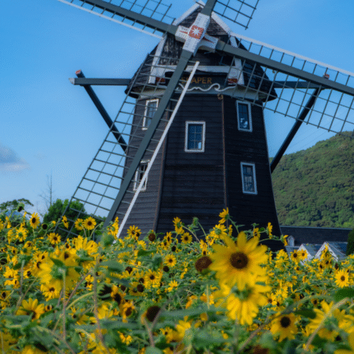 10 Best Day Trips from Fukuoka Japan