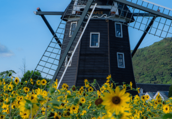 10 Day Trips from Fukuoka That’s Worth Your Time