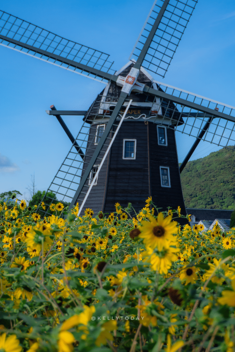 10 Best Day Trips from Fukuoka Japan