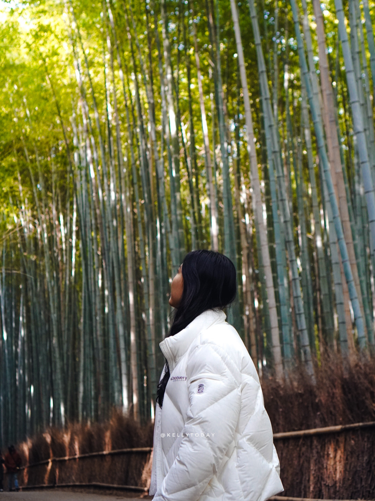 Arashiyama Bamboo Forest - The Ultimate 2 Day Kyoto Itinerary (For Travellers Who Want More Than Fushimi Inari)