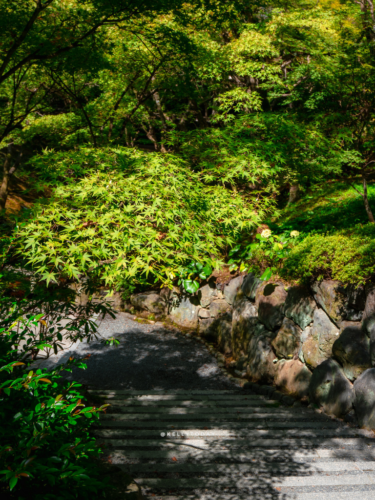 The Ultimate 2 Day Kyoto Itinerary (For Travellers Who Want More Than Fushimi Inari)